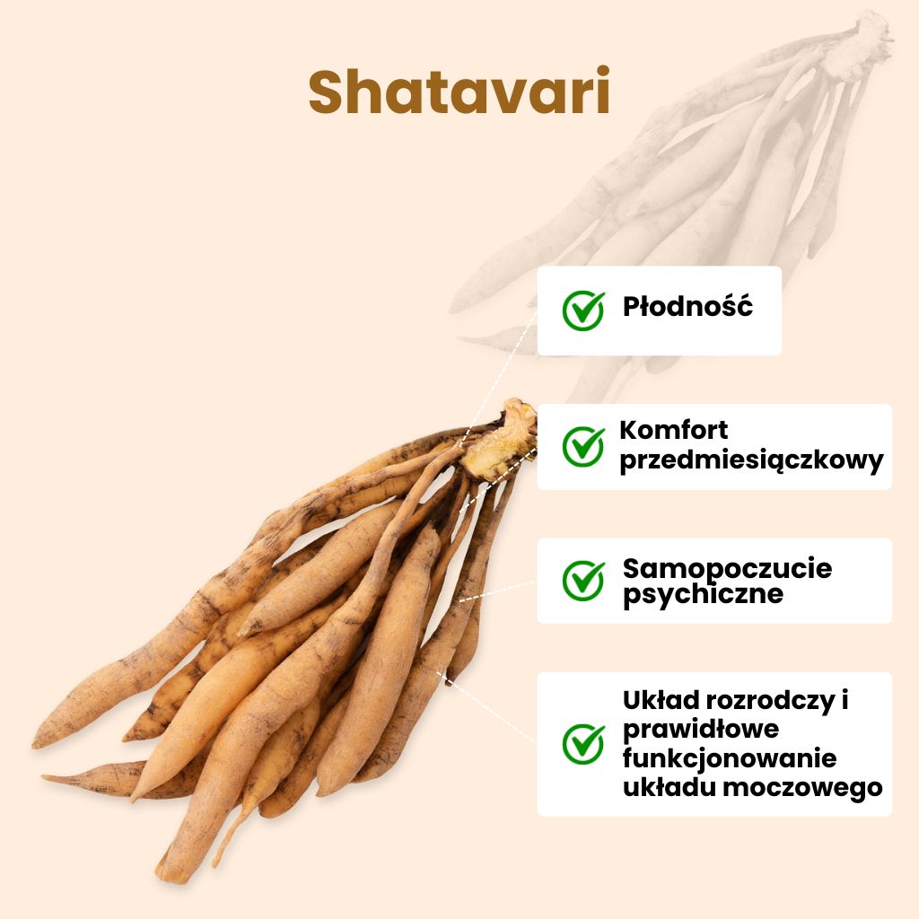 (Polština) Shatavari
